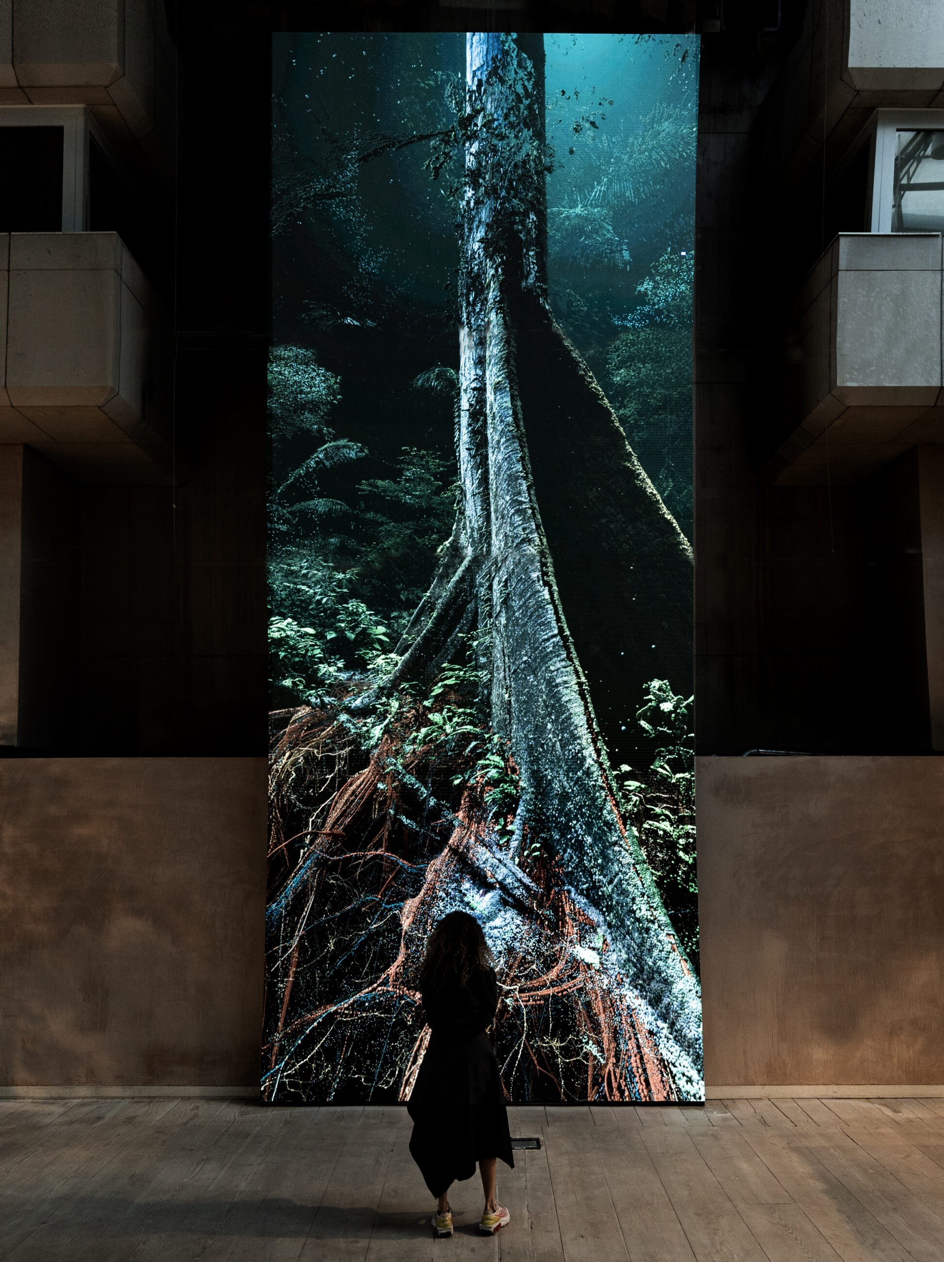 Unseen Battle: Amoebas Feast On Algae, Impacting Water Quality - jghtcwt