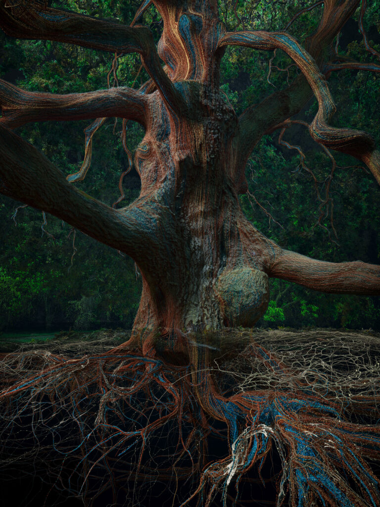 Digital rendition of the Lucombe Oak Tree at Kew Gardens, 2025
