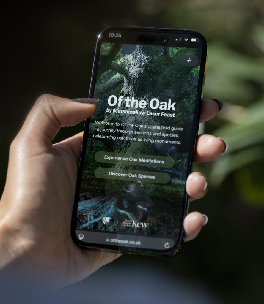 Field guide to Of the Oak