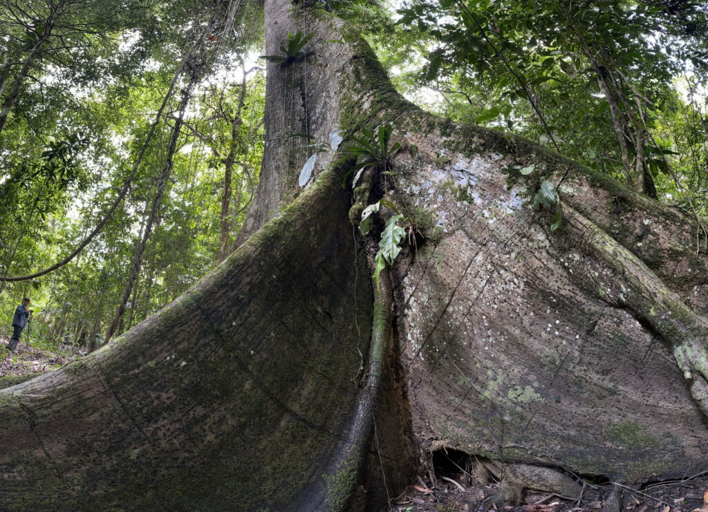 Field Research in Colombian Amazon, 2020