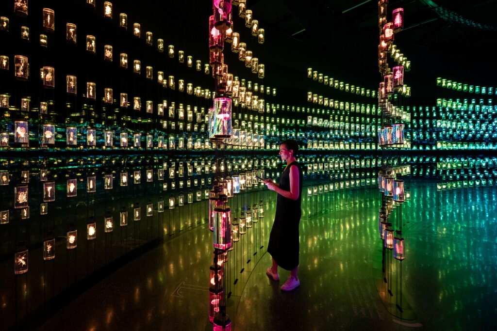 The Library, Museum of the Future, HEAL Institute, 2022