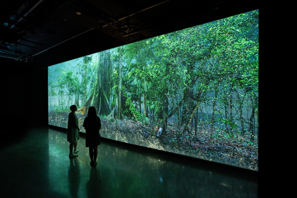 The Forest, Museum of the Future, HEAL Institute, 2022