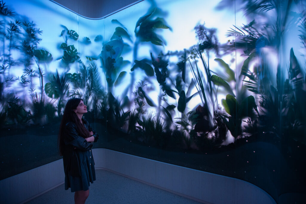 The Living Wall, Museum of the Future, HEAL Institute, 2022
