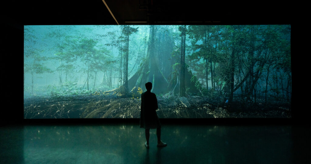 The Forest, Museum of the Future, HEAL Institute, 2022