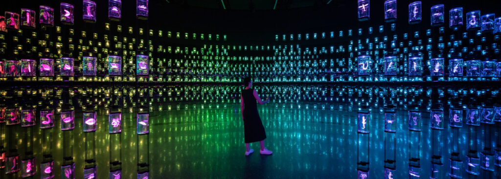 The Library, Museum of the Future, HEAL Institute, 2022