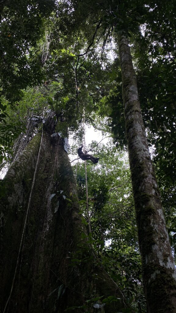 Amazon Rainforest, Scanning Trip, 2020