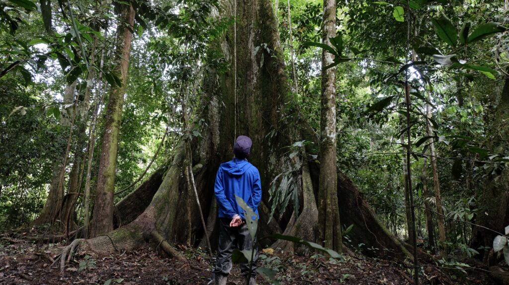 Amazon Rainforest, Scanning Trip, 2020