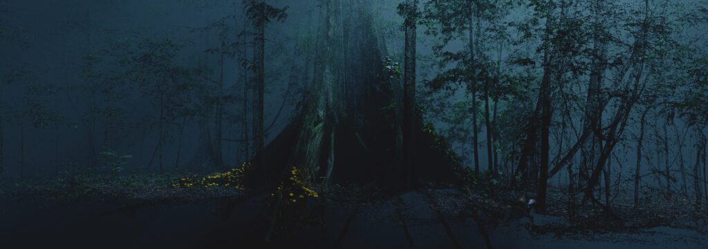 The Forest, Museum of the Future, HEAL Institute, 2022