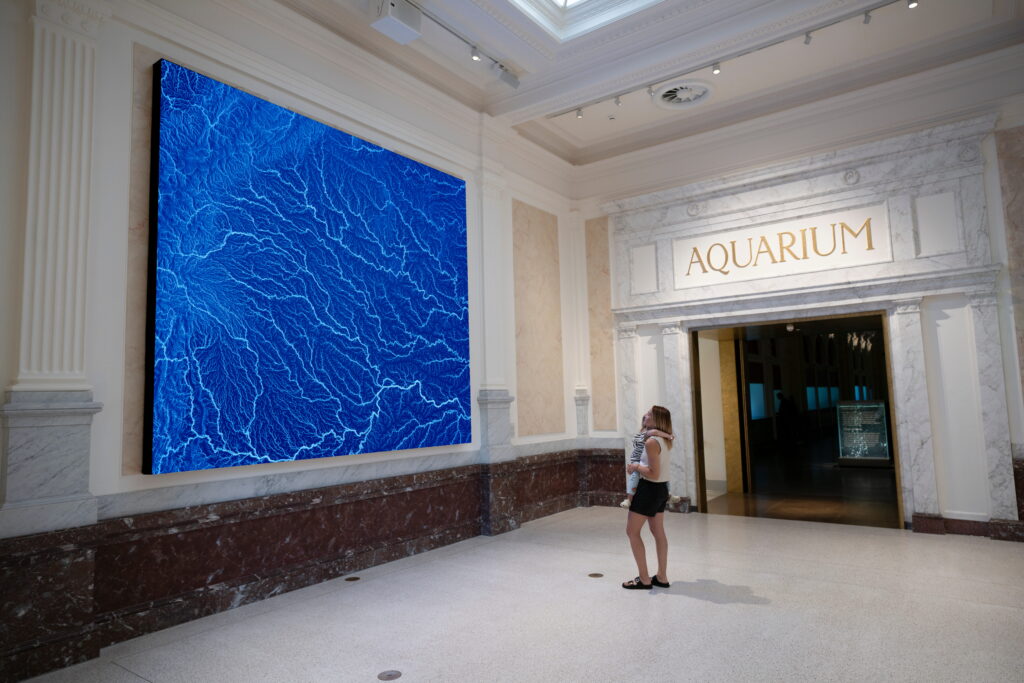 Water Body, Artis Aquarium, Amsterdam, 2026